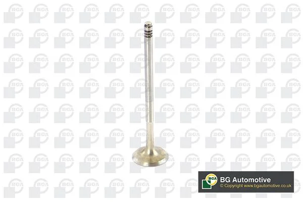 Exhaust Valve BGA V090103