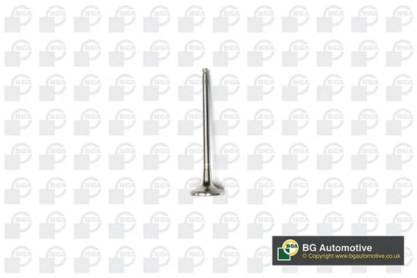 Exhaust Valve BGA V141081