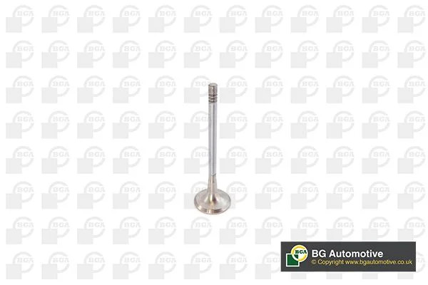 Exhaust Valve BGA V142050