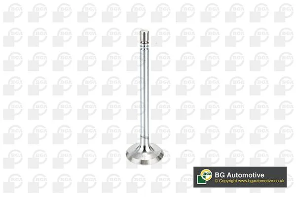 Intake Valve BGA V164660