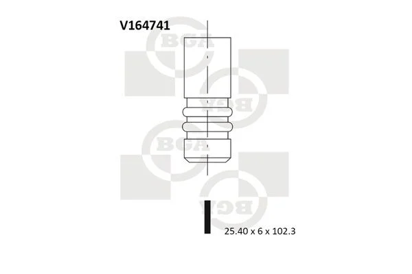Izpušni ventil BGA V164741