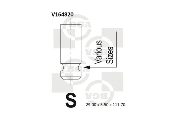 Intake Valve BGA V164820