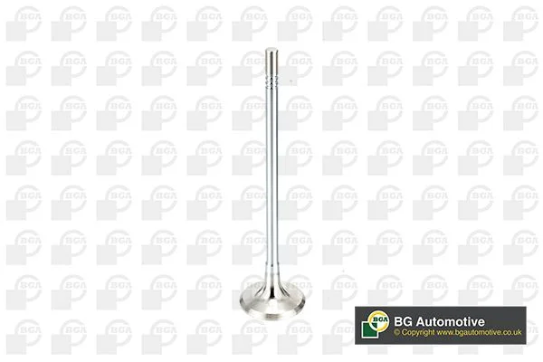 Exhaust Valve BGA V165051