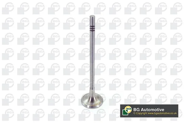 Exhaust Valve BGA V200611