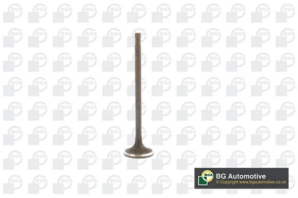 Exhaust Valve BGA V230711
