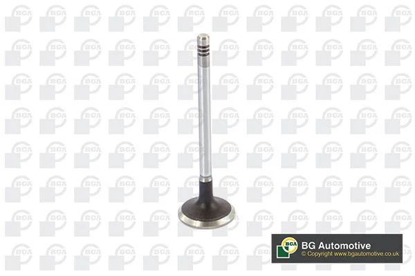 Intake Valve BGA V424831