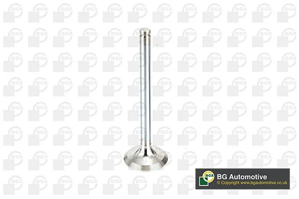 Exhaust Valve BGA V537851
