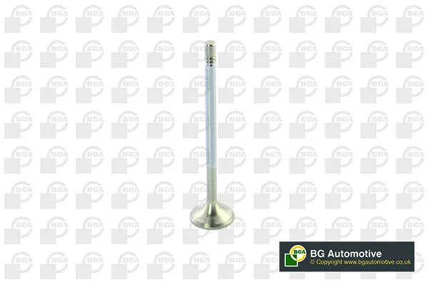 Exhaust Valve BGA V560010