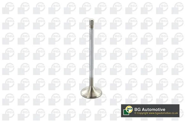 Sesalni ventil BGA V560011
