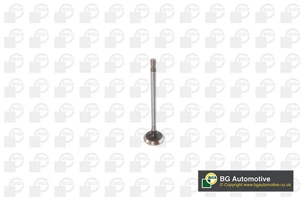 Exhaust Valve BGA V611982