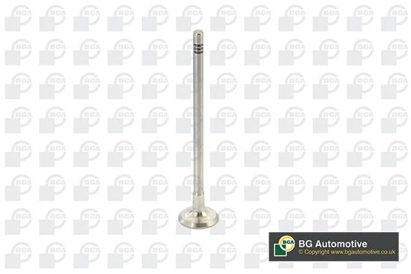 Exhaust Valve BGA V737875