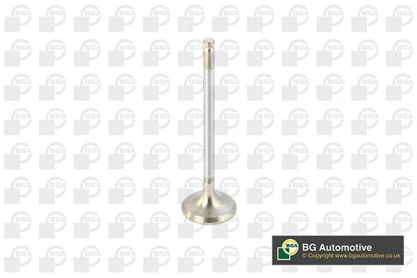 Exhaust Valve BGA V820011