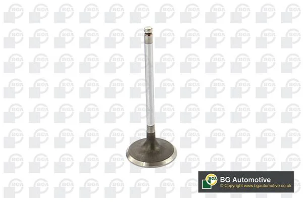 Intake Valve BGA V912002