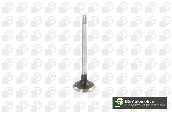 Exhaust Valve BGA V912003