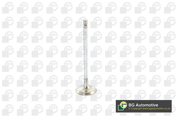 Sesalni ventil BGA V917010
