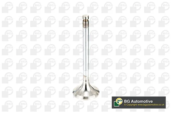 Exhaust Valve BGA V991716