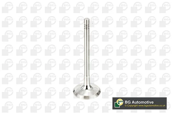 Exhaust Valve BGA V991760