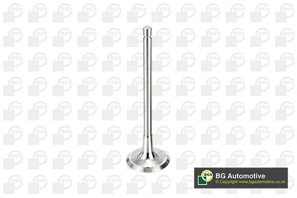 Intake Valve BGA V998716