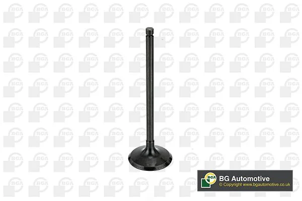 Sesalni ventil BGA V998745
