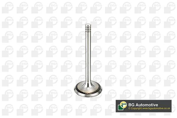 Intake Valve BGA V998902