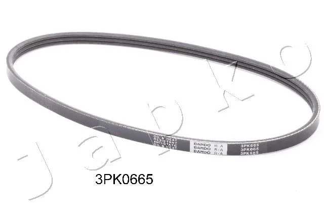 V-rebrasti pas JAPKO 3PK665