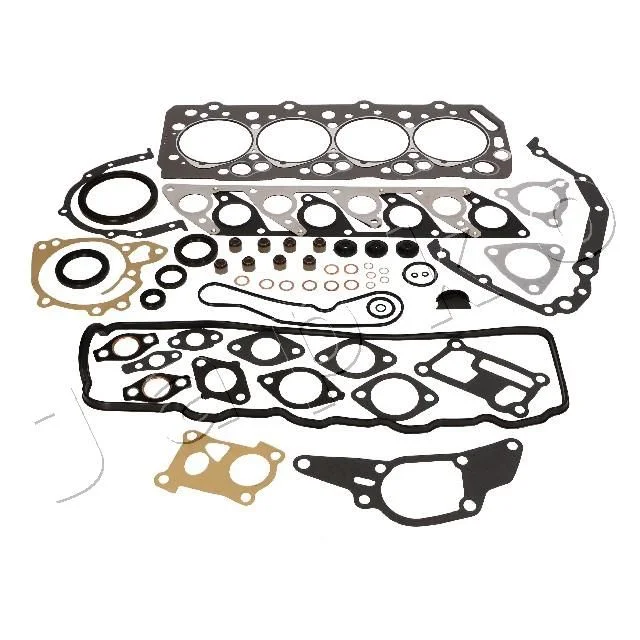 Celoten komplet tesnil, motor JAPKO 49538