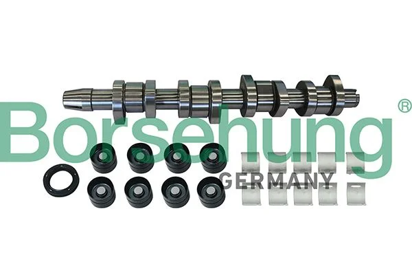 Skirstomojo veleno komplektas BORSEHUNG B11307