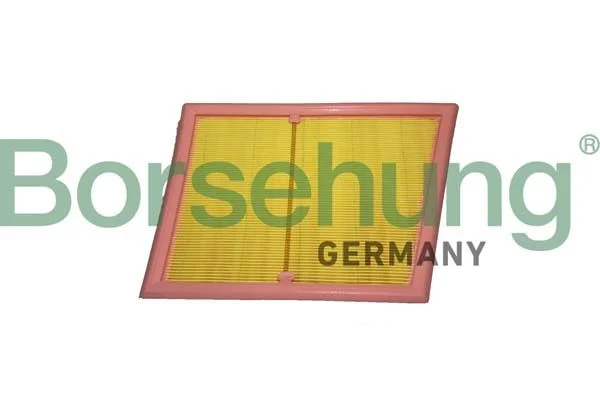 Oro filtras Borsehung B12439