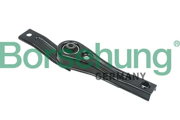 Variklio montavimas Borsehung B18764