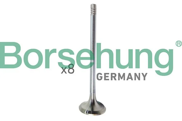 Intake Valve Borsehung B10322