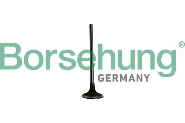 Sesalni ventil Borsehung B10334
