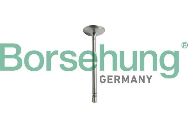 Sesalni ventil Borsehung B10351
