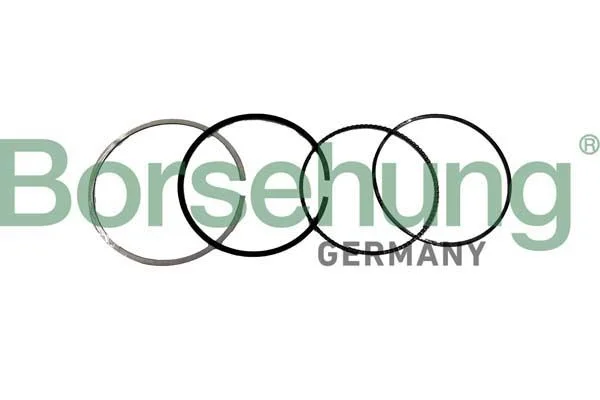 Piston Ring Set Borsehung B10371