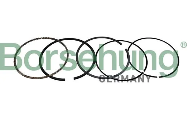 Piston Ring Set Borsehung B10372