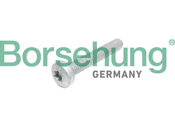 Cylinder Head Bolt Borsehung B10645