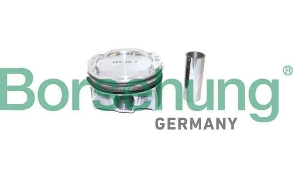 Piston Ring Set Borsehung B11137