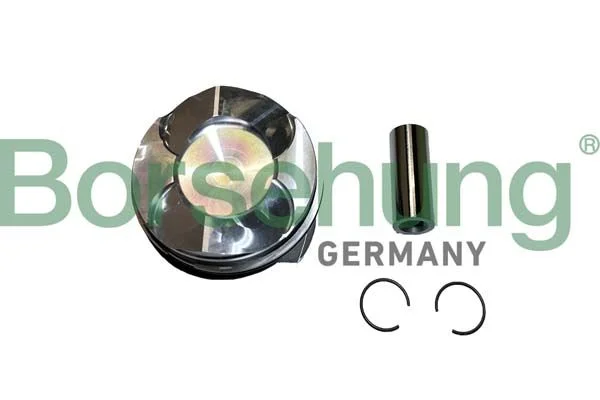 Piston Ring Set Borsehung B11144
