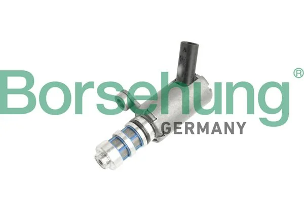 Central Valve, camshaft adjustment Borsehung B11858