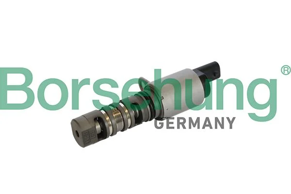 Central Valve, camshaft adjustment Borsehung B11866