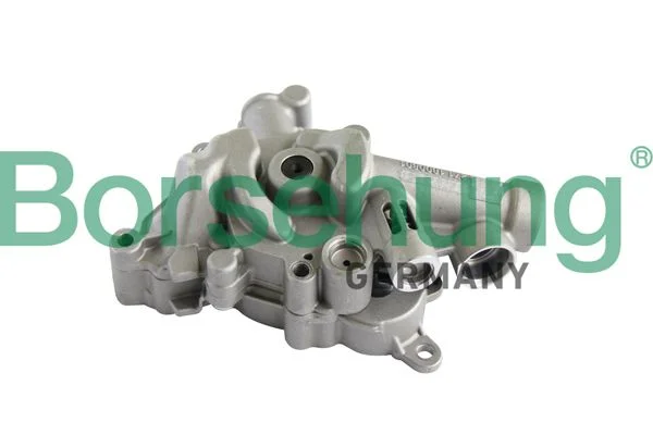Oil Pump Borsehung B11899