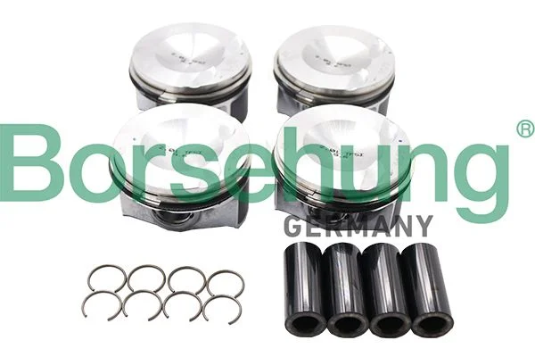 Piston Ring Set Borsehung B13574