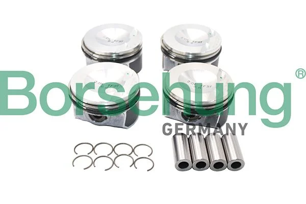 Piston Ring Set Borsehung B13583
