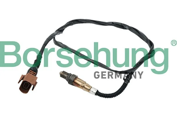 Oxygen Sensor Borsehung B16927
