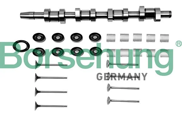 Repair Kit, intermediate shaft Borsehung B17129