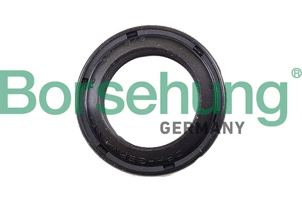 Shaft Seal, clutch release bearing shaft Borsehung B17833