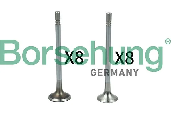 Valve Kit, intake/exhaust valve Borsehung B18628
