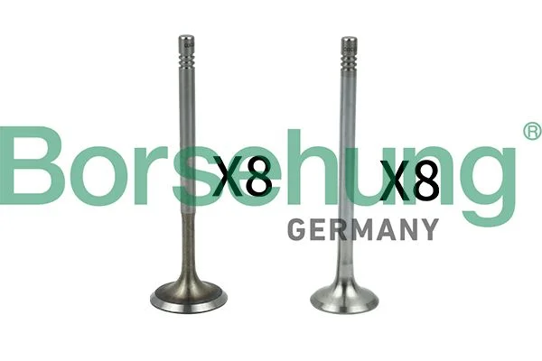 Valve Kit, intake/exhaust valve Borsehung B18630