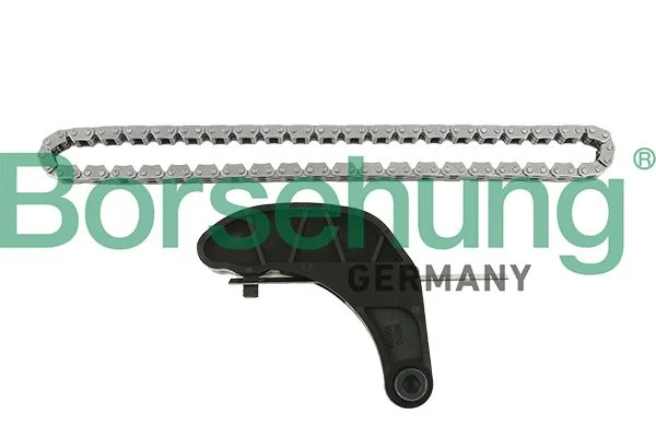 Chain Kit, oil pump drive Borsehung B18851
