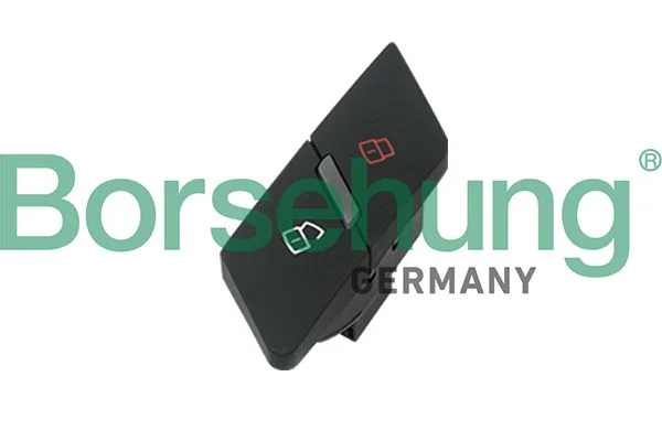 Switch, door lock system Borsehung B18888