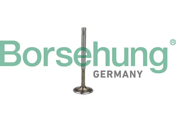 Exhaust Valve Borsehung B19009